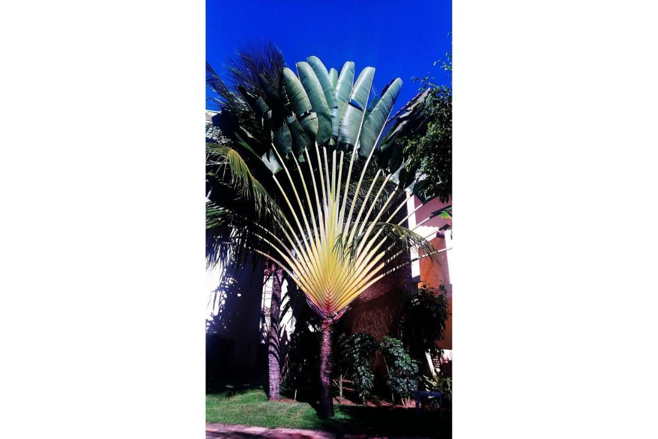 Solar De Pipa Duplex Flat *